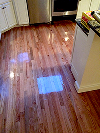 DPF Hardwood Floors LLC