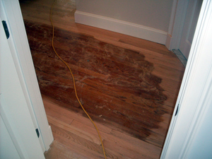 DPF Hardwood Floors LLC